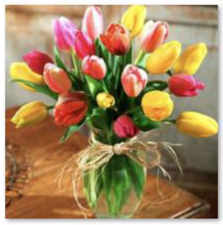 tulipany-1.jpg