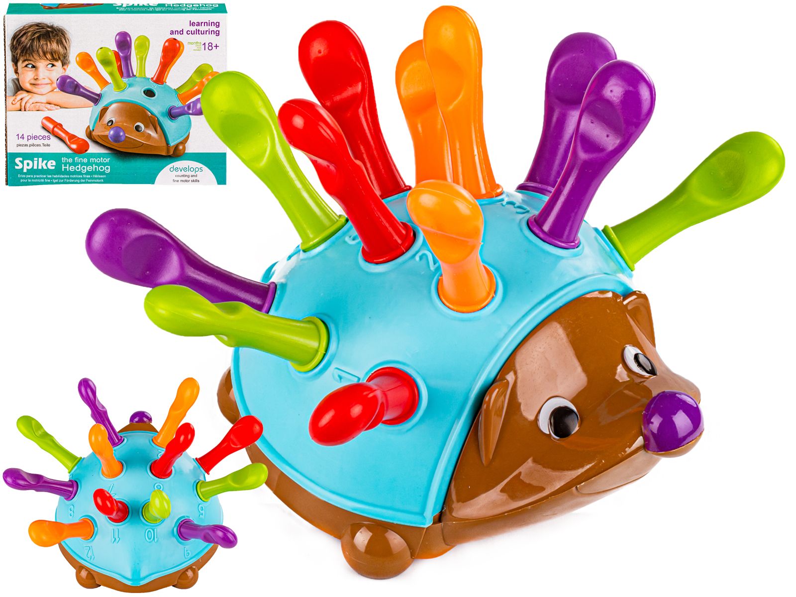 Gra Edukacyjny Wesoły Jeżyk, Jeż - Nauka Kolorów, Liczenia Kolorowe Kolce