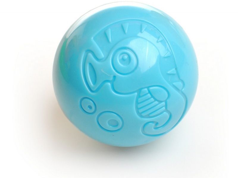 EDUKACYJNY CHODZIK PCHACZ