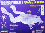 Model plastikowy Lindberg - Transparent Bull Frog (Przezroczysta żaba rycząca)